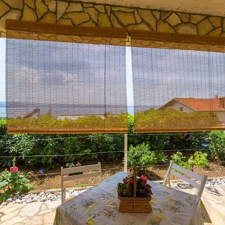 Apartment Hundefreundliches Nur 120 Meter Zum Mit Meerblick Und Parkplatz